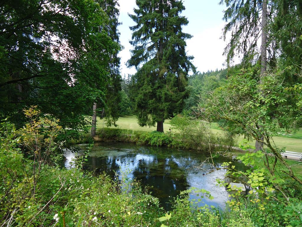 Hotel - Pension Vesta Bad Elster Exteriör bild