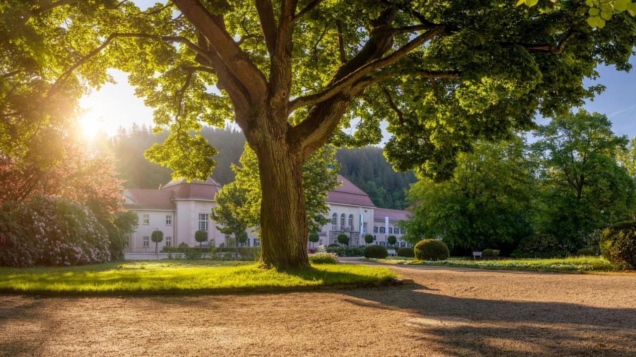 Hotel - Pension Vesta Bad Elster Exteriör bild