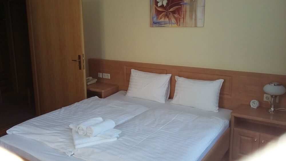 Hotel - Pension Vesta Bad Elster Exteriör bild